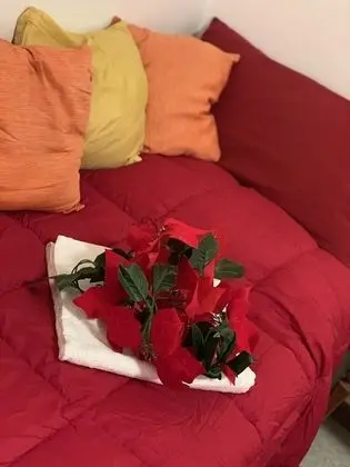 Üç Kişilik Oda, Ortak Banyo, Şehir Manzaralı