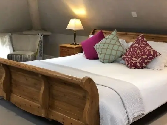 Premier Tek Büyük Yataklı Oda, Banyolu/Duşlu (Room 1)