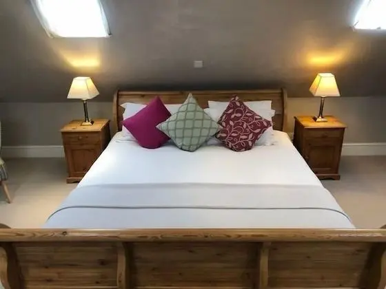 Premier Tek Büyük Yataklı Oda, Banyolu/Duşlu (Room 1)