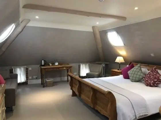 Premier Tek Büyük Yataklı Oda, Banyolu/Duşlu (Room 1)