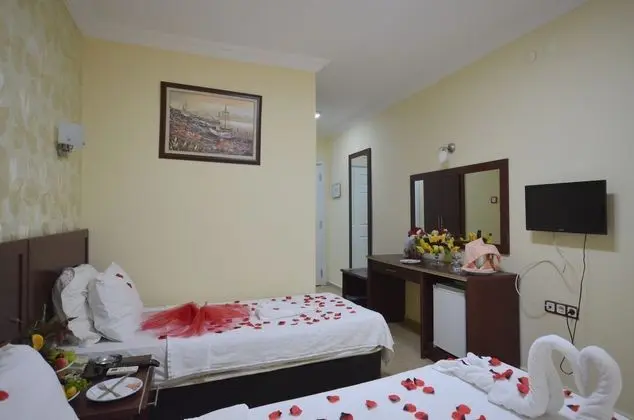 https://imagessl.etstur.com/files/images/hotelImages/TR/91151/l/Park-Admiral-Hotel-Oda-285524.jpg
