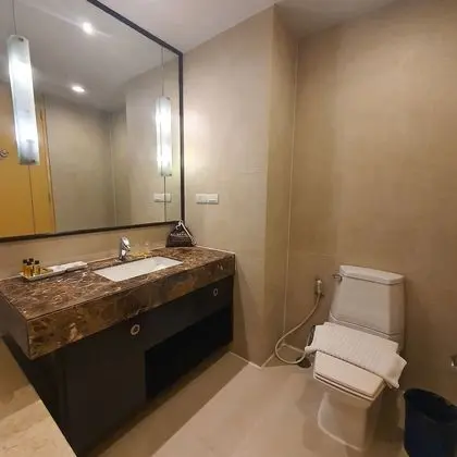 Premier Studio, 1 King Bed with Balcony