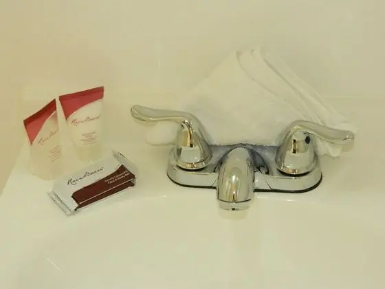Standard Oda, 1 Büyük (Queen) Boy Yatak, Özel Banyo