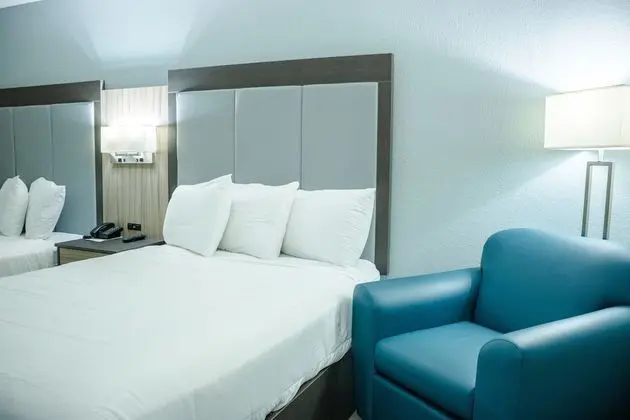 Premium Oda, 2 Büyük (Queen) Boy Yatak