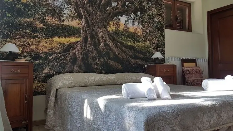 Tek Büyük veya İki Ayrı Yataklı Oda, Özel Banyo