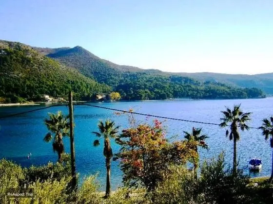 Studio Apartment Garden View 2 plus 1