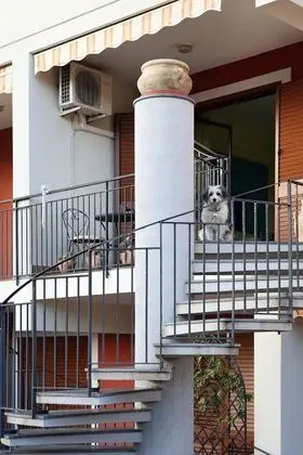 Apart Daire, 3 Yatak Odası, Sigara İçilebilir, Balkon