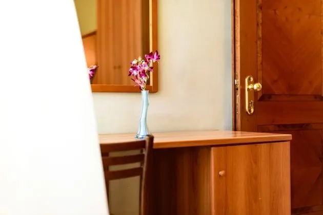 Economy Tek Büyük Yataklı Oda (French Bed)