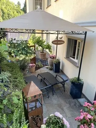 Junior Tek Büyük veya İki Ayrı Yataklı Oda, Veranda, Bahçe Manzaralı (1)