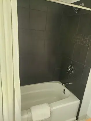 Premium Kulübe