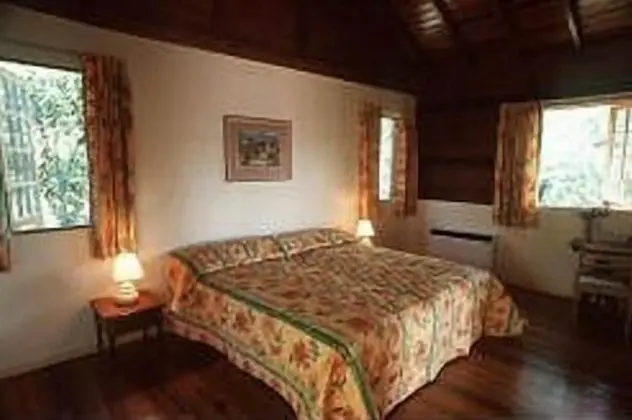 Signature Villa, 1 En Büyük (King) Boy Yatak, Mutfak, Bahçe Manzaralı