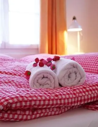 Panoramic Tek Büyük Yataklı Oda, Dağ Manzaralı