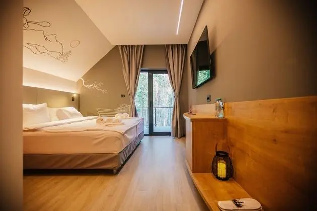 Deluxe Tek Büyük Yataklı Oda