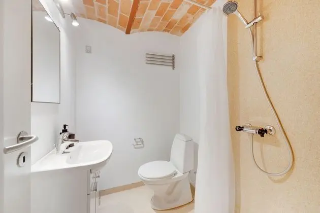 Basic Apart Daire, 1 Yatak Odası (4 persons, A)