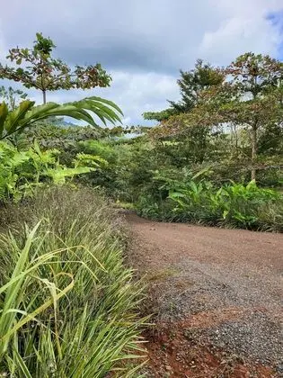 Bungalov, 3 Yatak Odası, Balkon