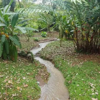 Bungalov, 3 Yatak Odası, Balkon