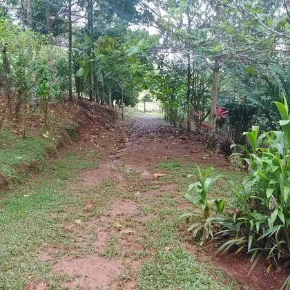 Bungalov, 3 Yatak Odası, Balkon