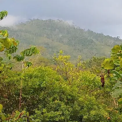 Bungalov, 3 Yatak Odası, Balkon