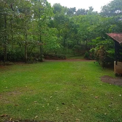 Bungalov, 3 Yatak Odası, Balkon