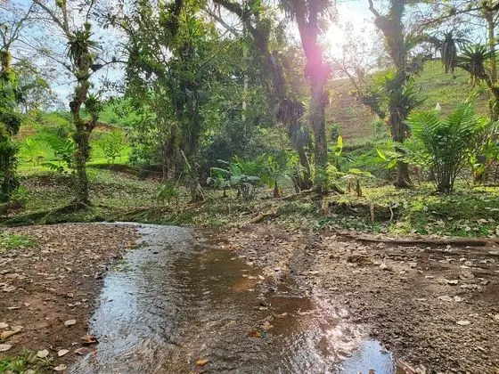 Bungalov, 3 Yatak Odası, Balkon