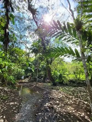 Bungalov, 3 Yatak Odası, Balkon