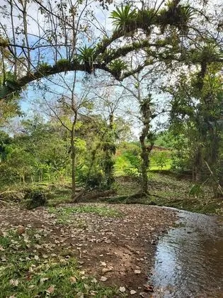 Bungalov, 3 Yatak Odası, Balkon