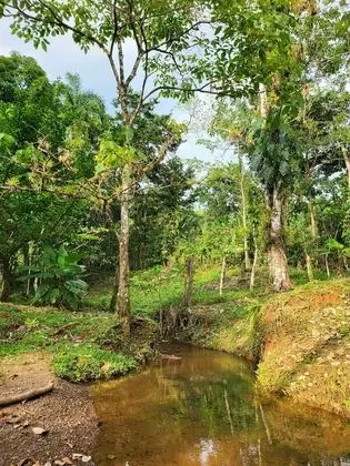 Bungalov, 3 Yatak Odası, Balkon