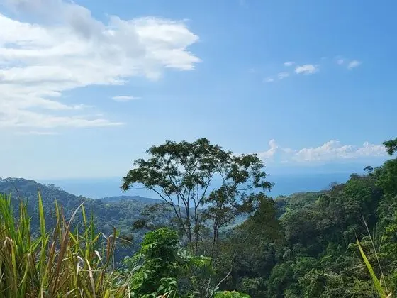 Bungalov, 3 Yatak Odası, Balkon