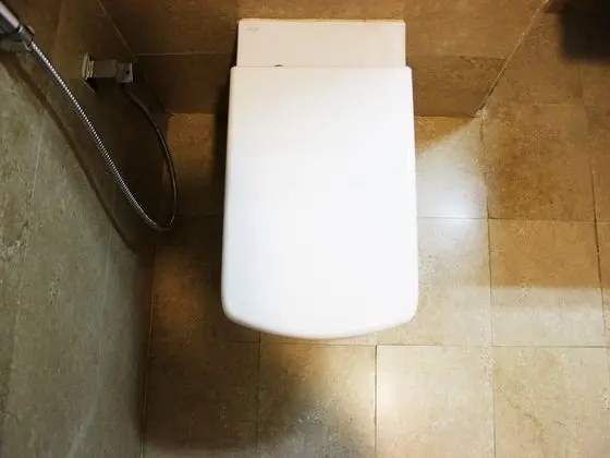 Standard Tek Büyük veya İki Ayrı Yataklı Oda, 1 Yatak Odası, Özel Banyo
