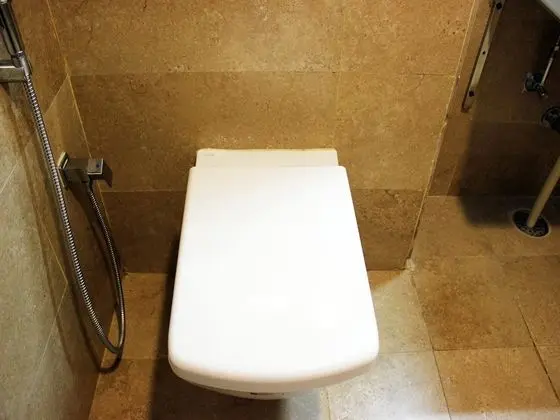 Standard Tek Büyük veya İki Ayrı Yataklı Oda, 1 Yatak Odası, Özel Banyo
