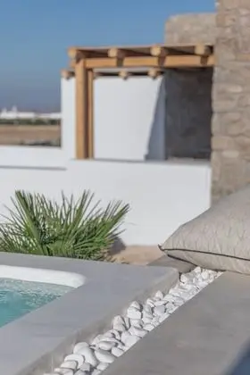 Deluxe Double or Twin Room, Private Plunge pool