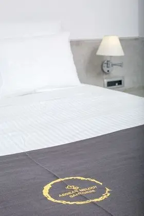 Premier Suite with outdoor private hot tub & beach front