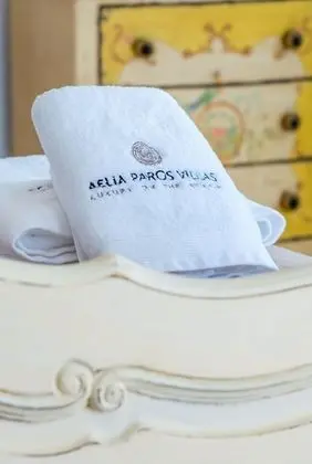 Villa, Engellilere Uygun