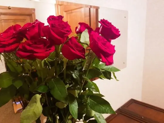 Deluxe Apart Daire, 1 Yatak Odası, Mutfak, Denize Sıfır