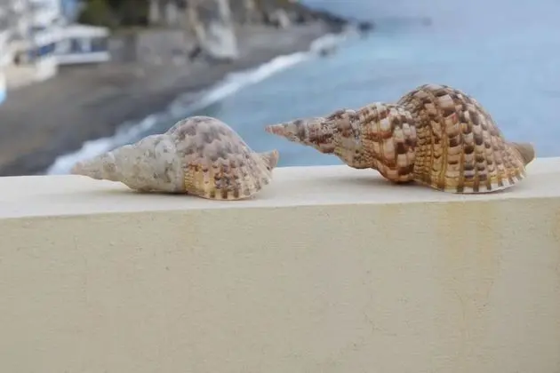 Ev, 3 Yatak Odası, Deniz Manzaralı