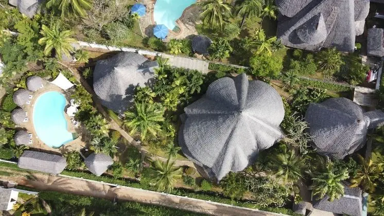Villa (Green Coral)
