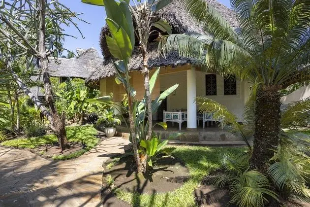 Villa (Green Coral)
