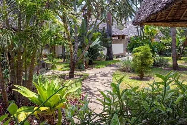 Villa (Green Coral)