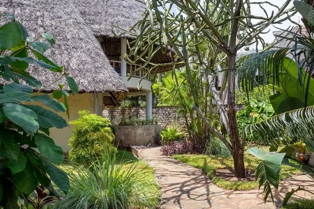 Villa (Green Coral)