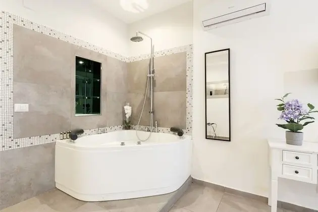 Superior Tek Büyük Yataklı Oda, 1 Büyük (Queen) Boy Yatak, Jakuzi