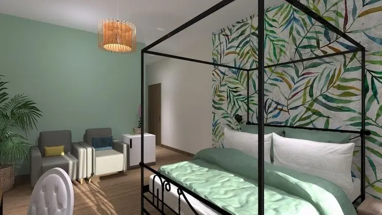 Deluxe Plus Room
