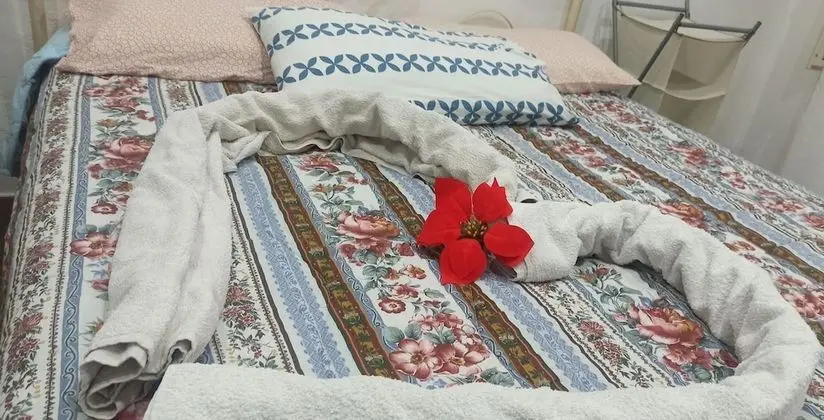 Basic Tek Büyük Yataklı Oda