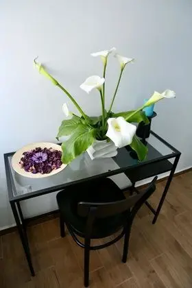 Deluxe Tek Büyük Yataklı Oda, Küvet