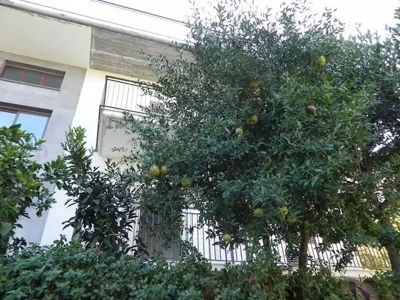 Tek Kişilik Oda