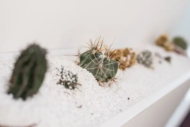 İki Ayrı Yataklı Oda