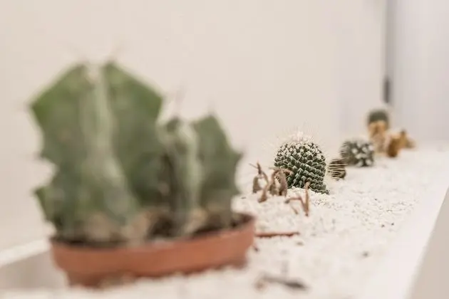 Tek Büyük Yataklı Oda, Mutfak