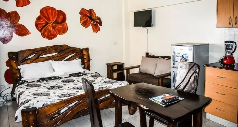 Classic Stüdyo Süit (1 Queen Bed)