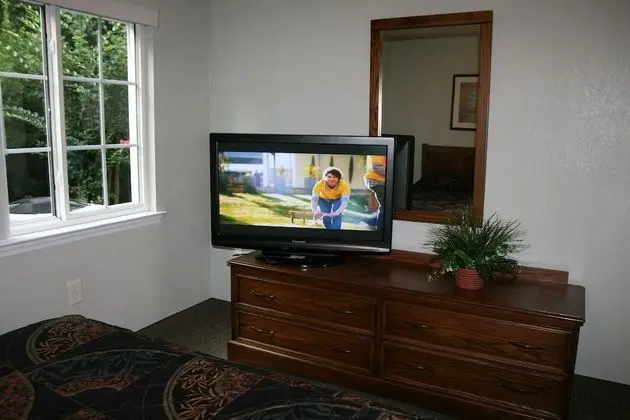 Süit, 1 Büyük (Queen) Boy Yatak