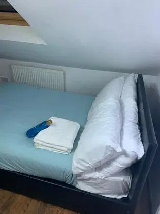 Design Süit