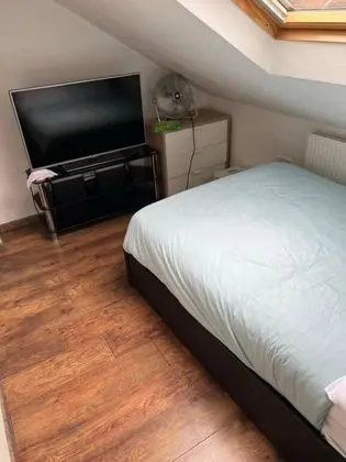 Design Süit